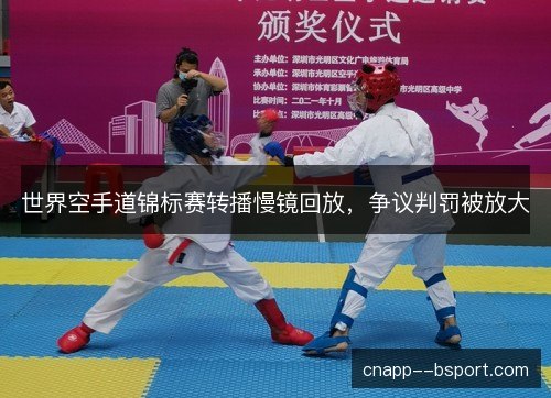 世界空手道锦标赛转播慢镜回放,争议判罚被放大 世界空手道锦标赛转播慢镜回放,争议判罚被放大