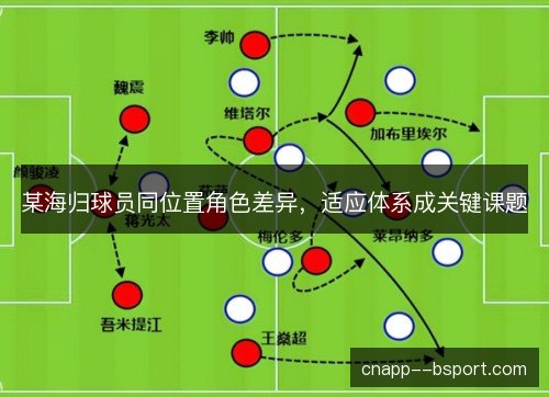 某海归球员同位置角色差异,适应体系成关键课题 某海归球员同位置角色差异,适应体系成关键课题